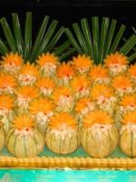 Melon Delmay