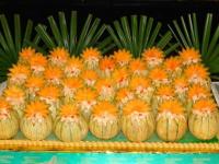 Melon Delmay